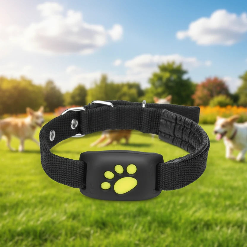 Pet GPS Tracker Collar