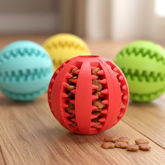 Interactive Toy Balls