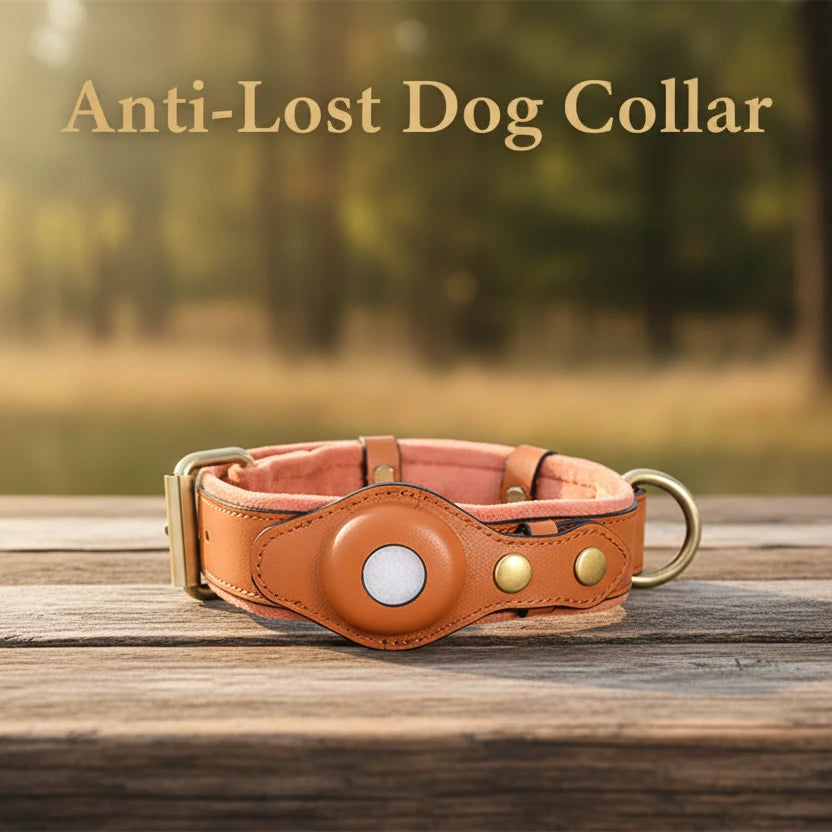 Leather Anti-Lost Dog Collar