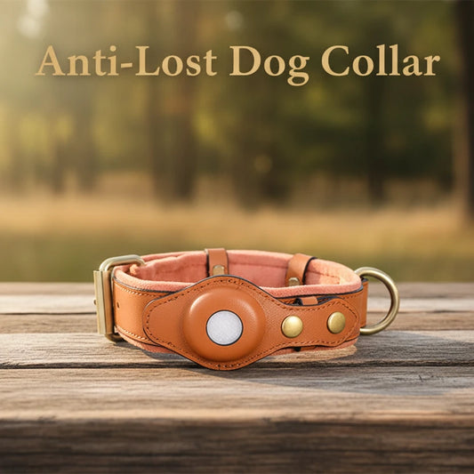 Leather Anti-Lost Dog Collar